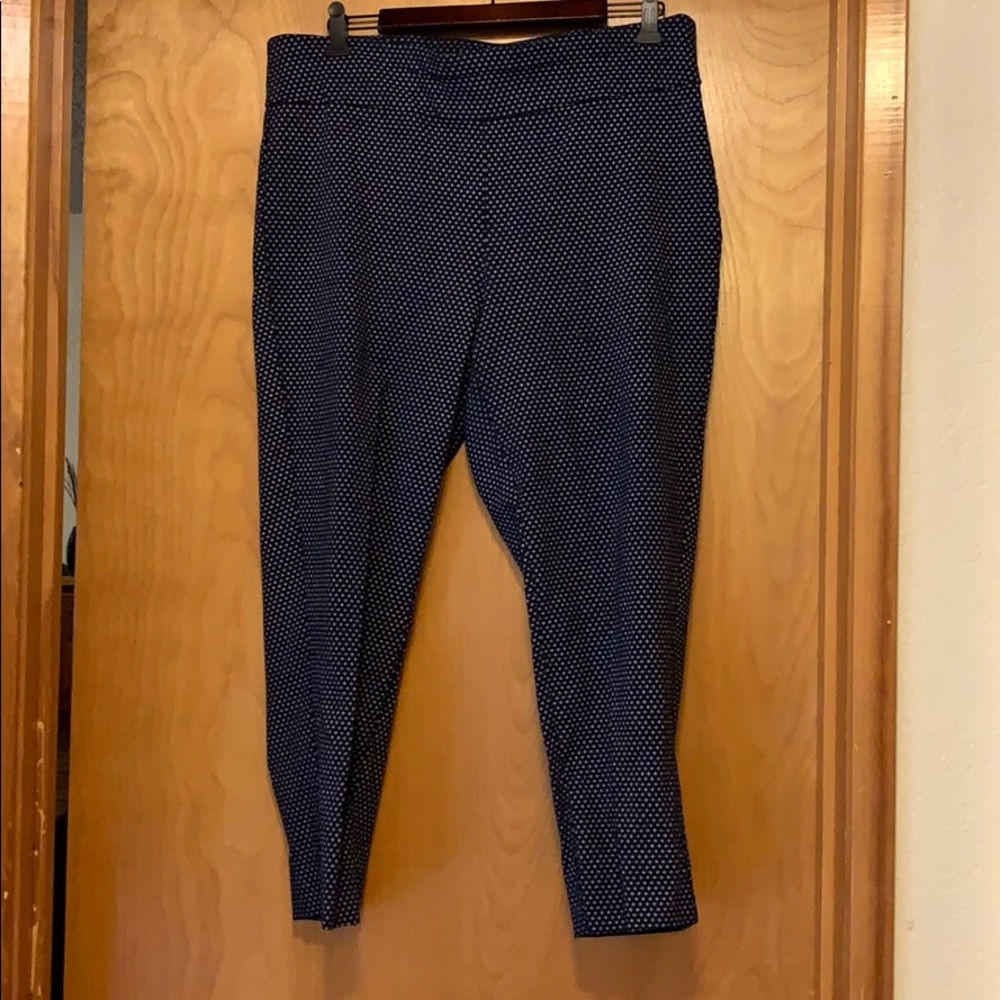 Pants 14W